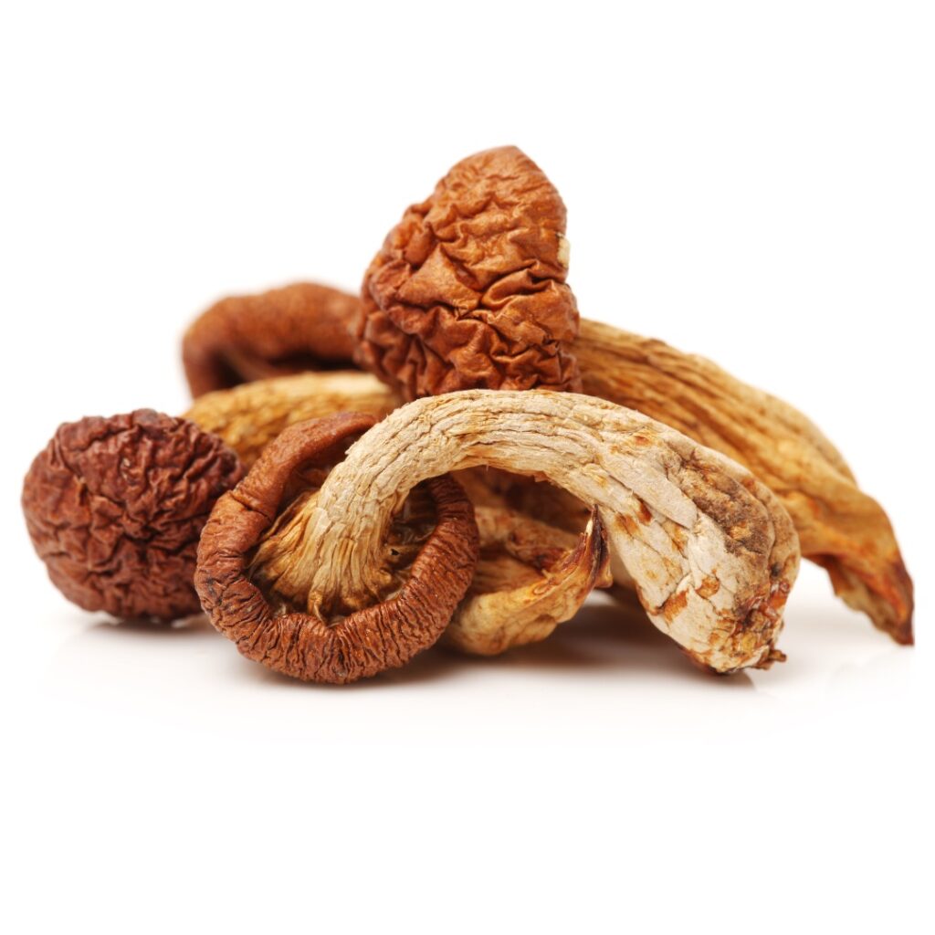 funghi-forma-std