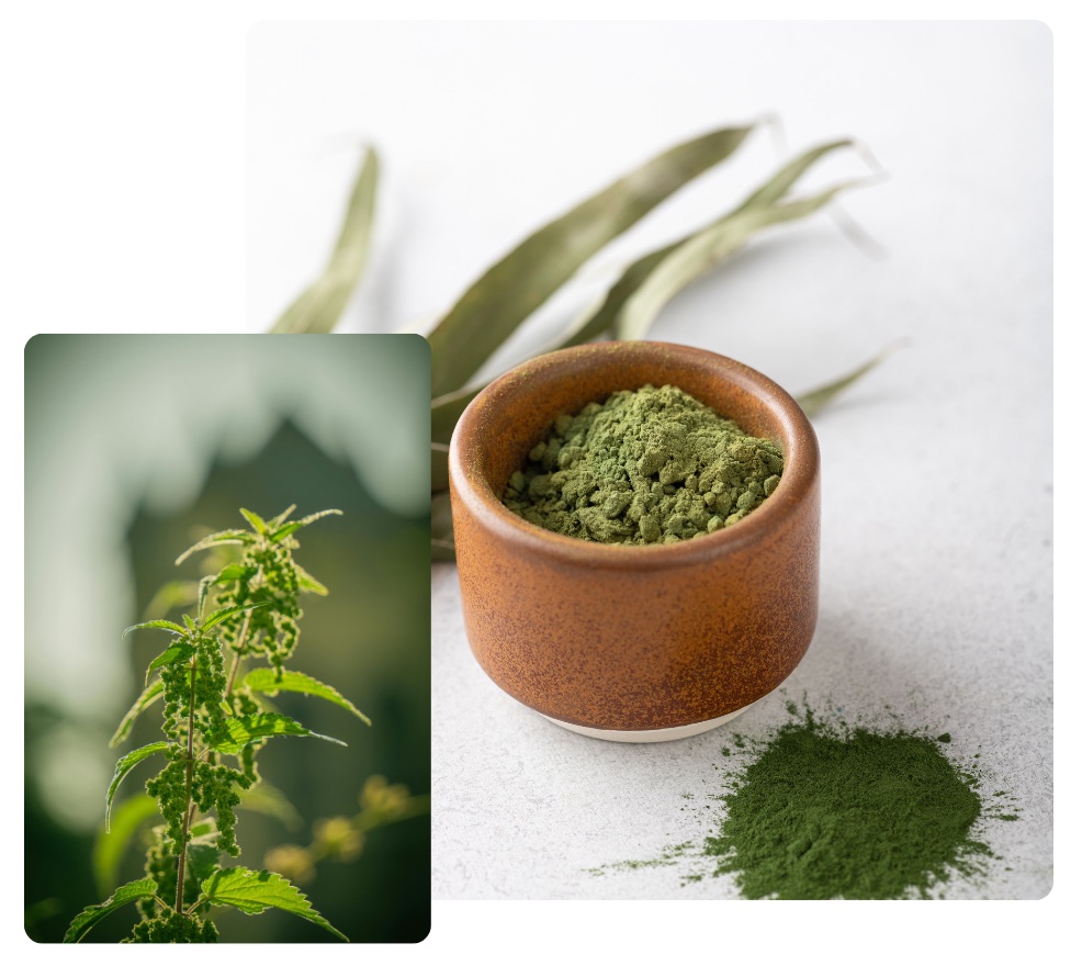 nutraceutica-introduzione